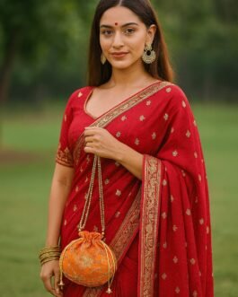 Handcrafted Embroidered Round Potli Bag _ model-min